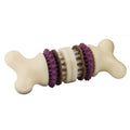 PetSafe Busy Buddy Bristle Bone Dog Chew Toy - Treat Holding Toothbrush Toy for Hard Chewers - Helps Keep Your Dog's Teeth Clean - Durable, Interactive - Purple, Medium
