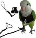 Bird Flight Harness Vest, Parrot Flight Suit with Leash for Parakeets Cockatiels Conures Budgies, Bird Flying Clothes wi
