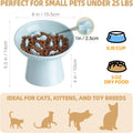 Ceramic Elevated Slow Feeder Cat Bowl - 6" Raised Cat Food Bowl for Bloat Relief & Anti-Vomiting, Whisker Friendly Ceram