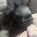 Cat Mask Cosplay, Cat Halloween Costumes, Funny Cat Costumes Accessories (Large)