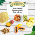 LAFEBER'S Tropical Fruit Nutri-Berries Pet Bird Food, Made with Non-GMO and Human-Grade Ingredients, for Parrots (10 oz 