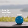 Jolly Pets Large Soccer Ball Floating-Bouncing Dog Toy, 8 inch Diameter, Ocean Blue