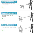 3 Dog Leash No Tangle, Heavy Duty Multiple Dog Lead Shock Absorbing Bungee with Padded Handle Removable Pet Traction Wal