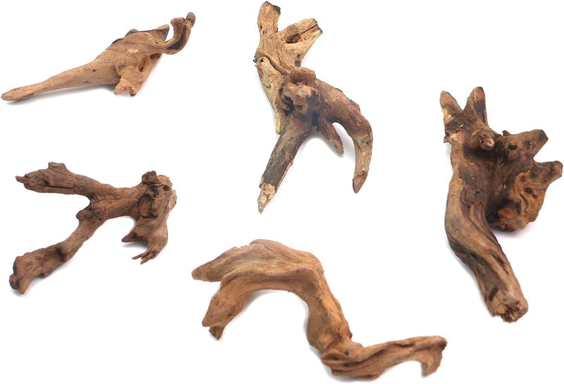 5Pcs Real Natural Driftwood Length 3.93