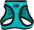 Medium/TEAL