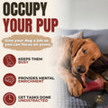 Bully Bunches Premium (6" Jumbo - 6 Pack) Odor-Free Bully Sticks for Medium & Large Dogs - Consistently Sized, Long Last