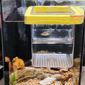 1 Pack Floating Fish Breeding Isolation Box Acrylic Floating Hatching Box for Baby Fish Shrimp Clownfish Betta Eggs Aqua