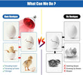 250W Heat Lamp Bulbs 1 Pack Infrared Heat Lamp for Chickens with E26 Socket and 5000 Hours Lifespan Heat Light Bulb for 