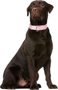 Martingale Collar for Dogs, No-Slip Escape Proof Choke No Pull Cinch Soft Nylon Dog Training Collars Adjustable for Smal