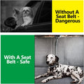 Plutus Pet Dog Seat Belt for Car Headrest, Reflective with Elastic Bungee
