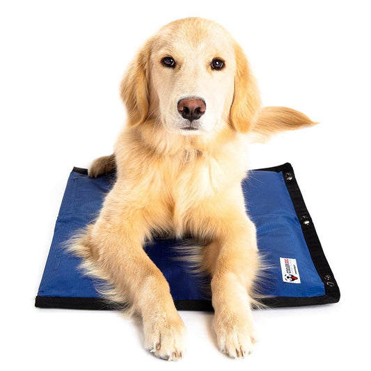 CoolerDog Hydro Cooling Mat for Dogs – Dog Cooling Mat & Cooling Pad for Hot Weather – Triple Layer Cooling with Ice Sheet & Water Cushion (Small/Medium 23" x 18")