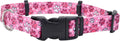 Coastal Pet SecureAway Collar Protector for Flea Collars - Adjustable pet Accessory - Protective Flea Collar for Dogs & Puppy - Red, 1" x 18-26"