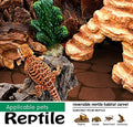 Reptile Carpet 40 Gallon 2 Pack for Bearded Dragon Tank Accessories,Enclosure Terrarium Liner Bedding Mat for Lizard,Gec