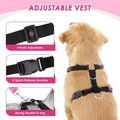 Lukovee Dog Car Harness Seat Belt Set, Seatbelt with 2 in 1 Buckle, M