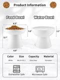 LoeJan Elevated Cat Food and Water Bowls Set, Extra Wide and Raised Ceramic Bowls, Anti-Vomit Whisker-Free Pressure Cat Feeder for Kittens to Adult Cats and Small Dogs (White, Water Bowl)