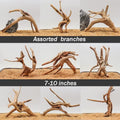 Hamiledyi 7-10in Natural Aquarium Driftwood 2PCS Large Reptile Spider Wood Ornament Assorted Branches Natural Driftwood 