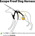 Huntboo Escape Proof Harness, No Slip Dog Harness Escape Proof, Fully Reflective Harness with Handle, Breathable, Durable, Adjustable Vest for Medium Dogs Walking and Training Gear (Black, M)