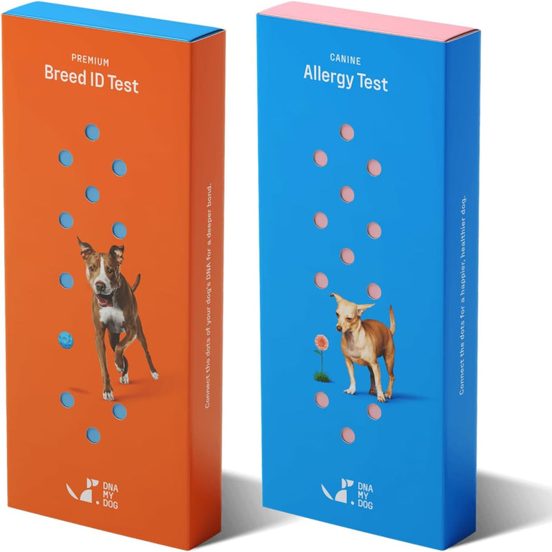DNA My Dog – Premium Health & Breed Bundle | Breed ID Test (350+ Breeds, 99% Accuracy, Health Test, Age & Wolf DNA) & Al