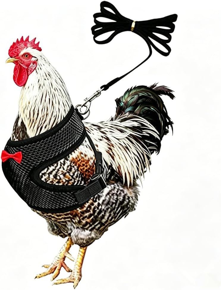 Adjustable Chicken Harness and Leash, Breathable Mesh Hen Vest for Rooster