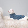 EXPAWLORER Soft Cat Sweater - Sweaters for Cats Only Warm Kitten Clothes, Fall and Winter Pet Coat Pullover Design, Fleece Sweatshirt Clothing Also for Puppy Small Dogs, Blue Small