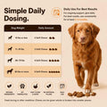 Lipoma Treatment for Dogs – Lumps & Bumps Support, Helps Reduce Fatty Tumors, Turkey Tail Mushroom Chews for Immune Heal