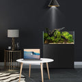 FZONE 9 Gal Shallow Aquarium, Low Iron Glass, Rimless Design (L60-W36)