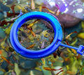 Coral Reef Grabber,Coral Feeder,Aquarium Veggie Feeder,Fish Tank Food Clip,Fish net(Reef Grabber and Coral Feeder Kits (