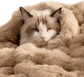 SOMAHE Soft Faux Fur Cat Blanket, Washable, Small 22x18