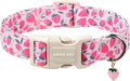 X-Small/Strawberry Pink