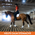 Plus Gastric Support Supplement for Horses with Omega 3s | Relieves Ulcers, Calming Supplement, Magnesium & Other Vital 