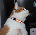 Reflective Cat Collar with Bell, Set of 6, Solid & Safe Collars for Cats, Nylon, Mixed Colors, Pet Collar, Breakaway Cat