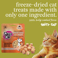 Salty Cat Freeze Dried Tuna cat Treats, 100% Wild-Caught Tuna, 10 g