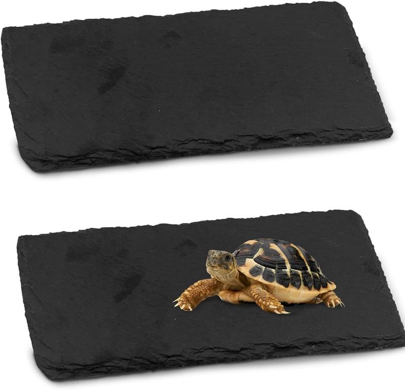 kathson 2 PCS Reptile Basking Platform (15.7 x 11.8 inches), Natural Rock Plate Turtle Food Bowl Feeding Dish Resting Te