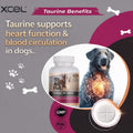 XCEL Taurine for Dogs 1000 mg Supplement with L-Carnitine, Quarter Scored Tablets (250 mg Split), Up to 240 Servings, Su