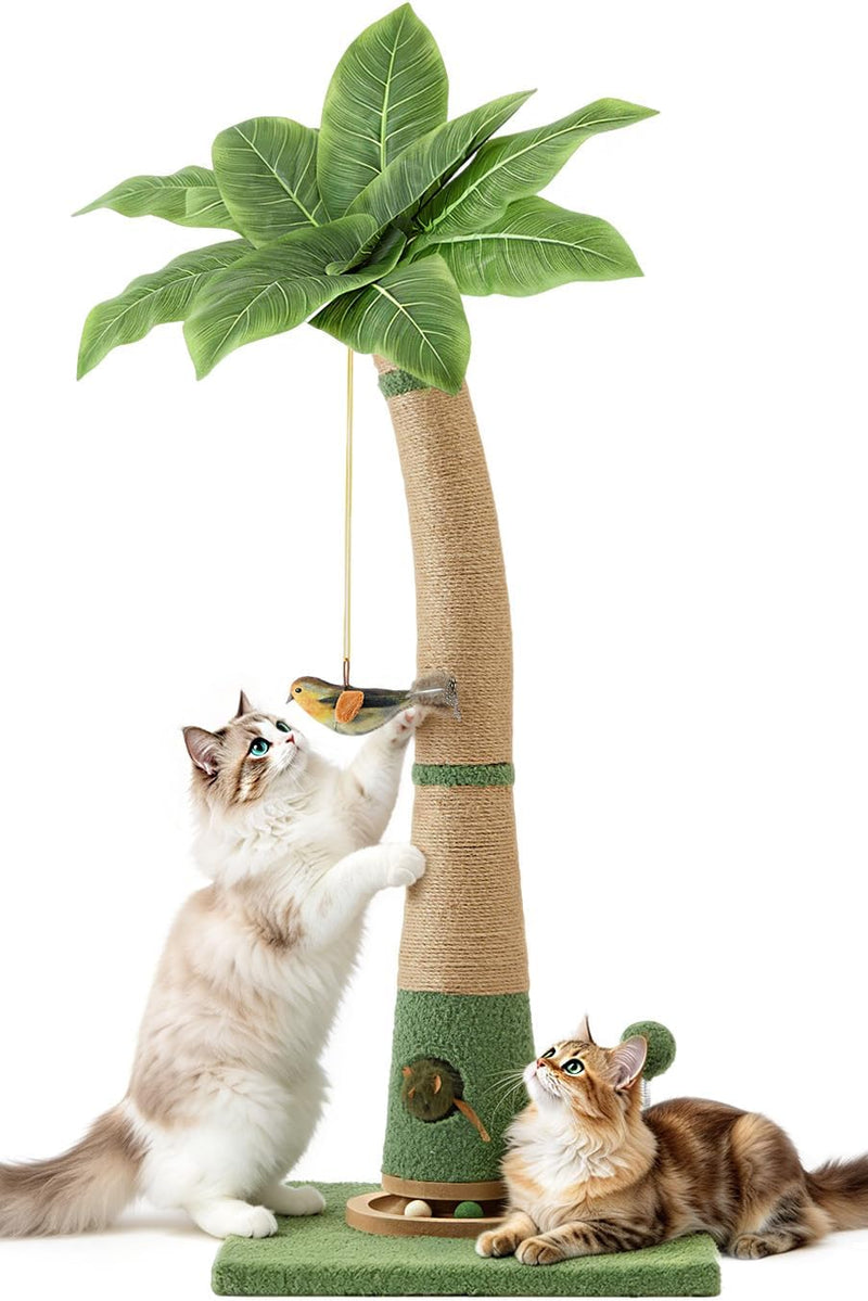 Cat Scratching Post, 40