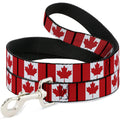 Buckle-Down Pet Leash - Canada Flags - 4 Feet Long - 1" Wide