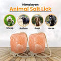 Premium Himalayan Horse Salt Lick 4 Pack 5-6 lbs Each Treat Block | Equine Mineral Salt Block with 36" Rope | Treats for