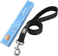 PenSeepet Dog Leash 6 FT Padded Handle Nylon Reflective Dogs Leashes for Medium Dogs Black