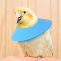 3 Pcs Adjustable Recovery Bird Cone Collar,Hamster Elizabeth Collar Protective Cones for Sugar Glider Hamster Ferret Squ