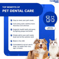 LIQUIDHEALTH Pet Dental Care Water Additive for Dogs & Cats - Fast Acting Pet Bad Breath Freshener, Dog Mouth Wash, Anim