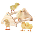 GINTUTO Wooden Chick Perch Stand, Pine Chicks Roosting Bar, Jungle Gym Perch Toys for Chicken Coop & Brooder, Bird Perch for Baby Chicks & Parrots (Small)