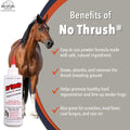 Four Oaks Farm Ventures, No Thrush Dry Powder Treatment for Horses - Wound Care, Scratches, Rain Rot, Mud Fever, Coat Is