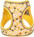 Step in Dog Harness and Leash Set, Pet Vest Harness, Bee XS