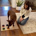 Hunger For Words Talking Pet Starter Set