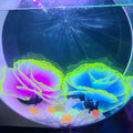 Glowing Fish Tank Decorations Glow Aquarium Decor Coral Ornaments 2Pcs