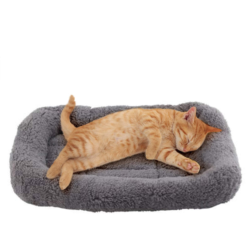 Enjoying Cat Mat Bed 10