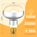 REPTITRIP Dual Reptile Light Fixture with 100W Daytime Heat Bulb & 100W Nighttime Ceramic Heat Emitter, 2 Independent Sw