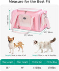 Cat Carrier Airline Approved, Soft Pet Carrier, 17x11x9.5 in