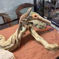AWXZOM Large Reptile Branch, 15-17inch Length, Carefully Selected and Polished for Reptile Climbing Branch,Each one is U