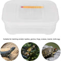 Still Awake Reptile Egg Incubator Professional Hatcher Hatching Box Case Tray Plastic Breeding Incubator for Hatching Sn